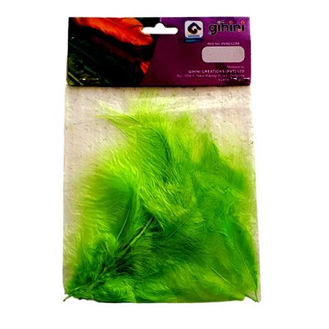 Natural Feathers Color - Green
