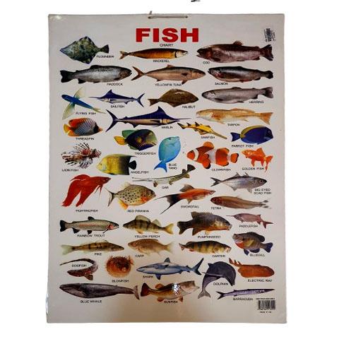Chart 13 - Fish
