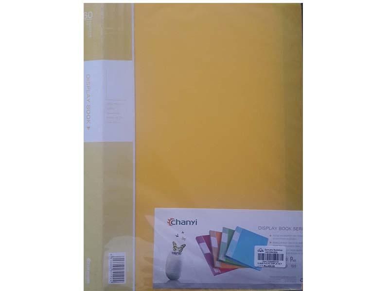 CLEAR FILE-FC DISPLAY 60 POCKETS